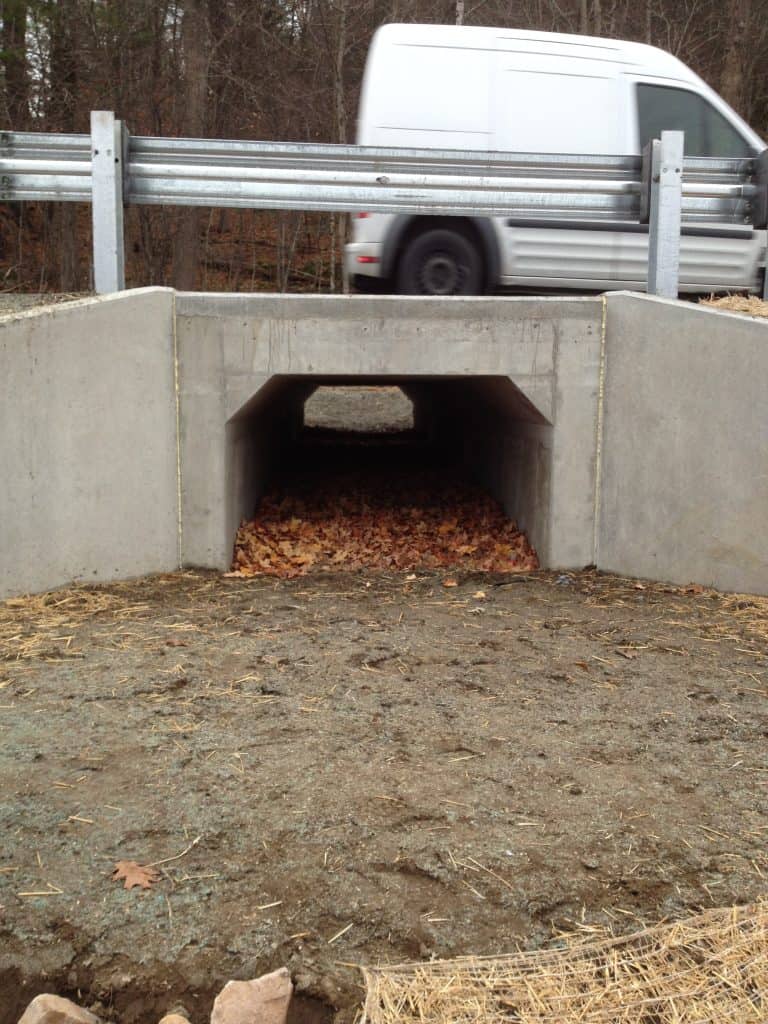 ONLY TO BE USED WITH ARTICLES ABOUT AMPHIBIAN UNDERPASSES IN VERMONT