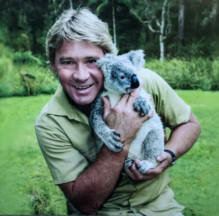 Steve Irwin holding a Koala at the zoo in Australia.