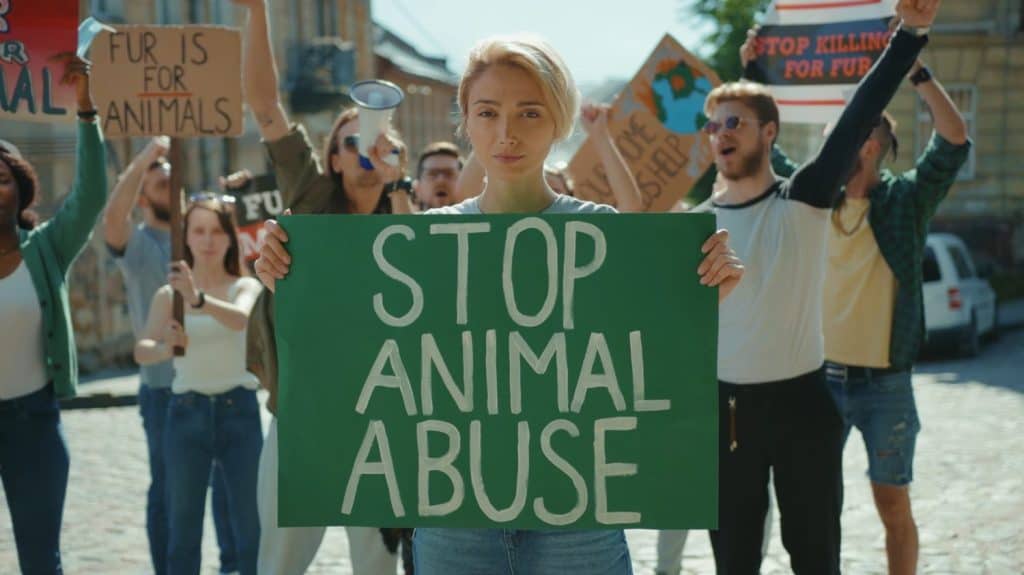 Inspiring man leader agitating crowd with loudspeaker outdoors. Multi-ethnic active urban youth protesting for animal rights and safe ecology in public demonstration.