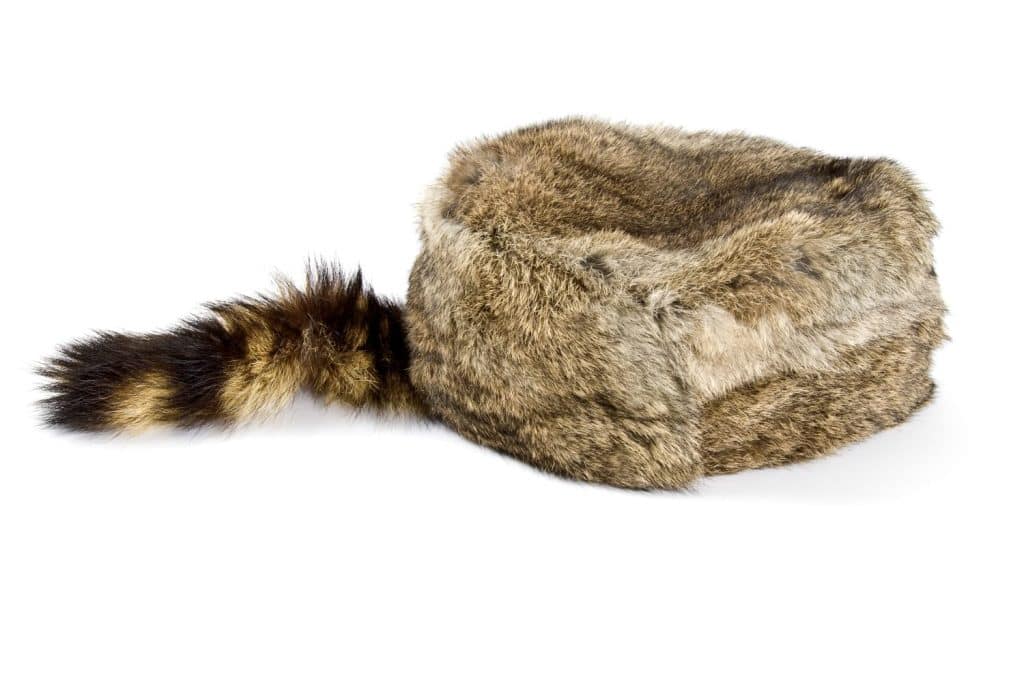 Fur Hat Isolated on White