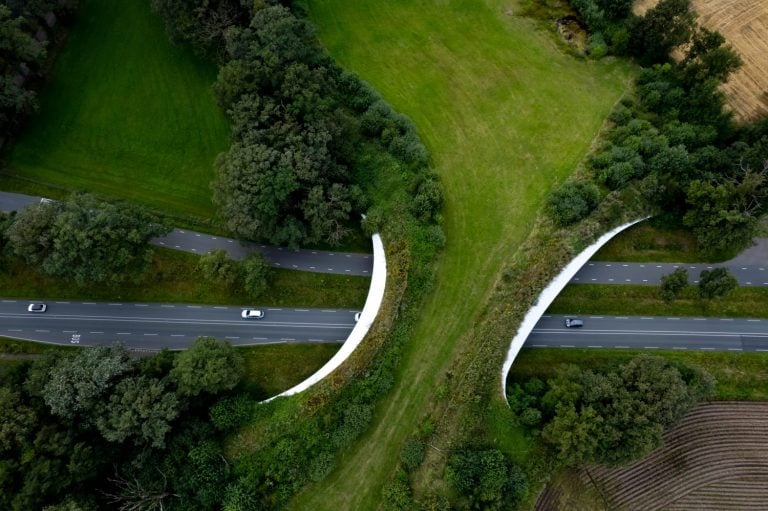 Motorway passing underneath wildlife crossing forming a safe natural corridor bridge for animals to migrate between conservancy areas. Environment nature reserve infrastructure eco passage.