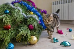 The cat filled up the Christmas tree for the New Year. Christmas tree toys were broken.