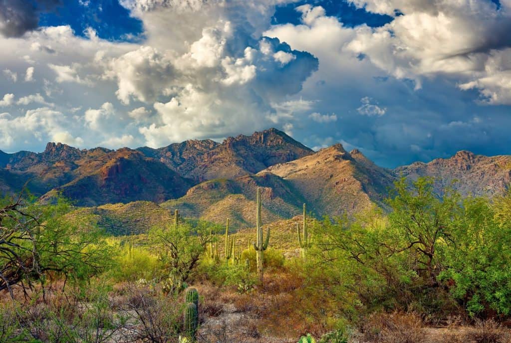 This photograph showcases the rugged beauty of the Santa Catalina Mountains viewed from Sabino Canyon Recreation Area with lush desert vegetation.