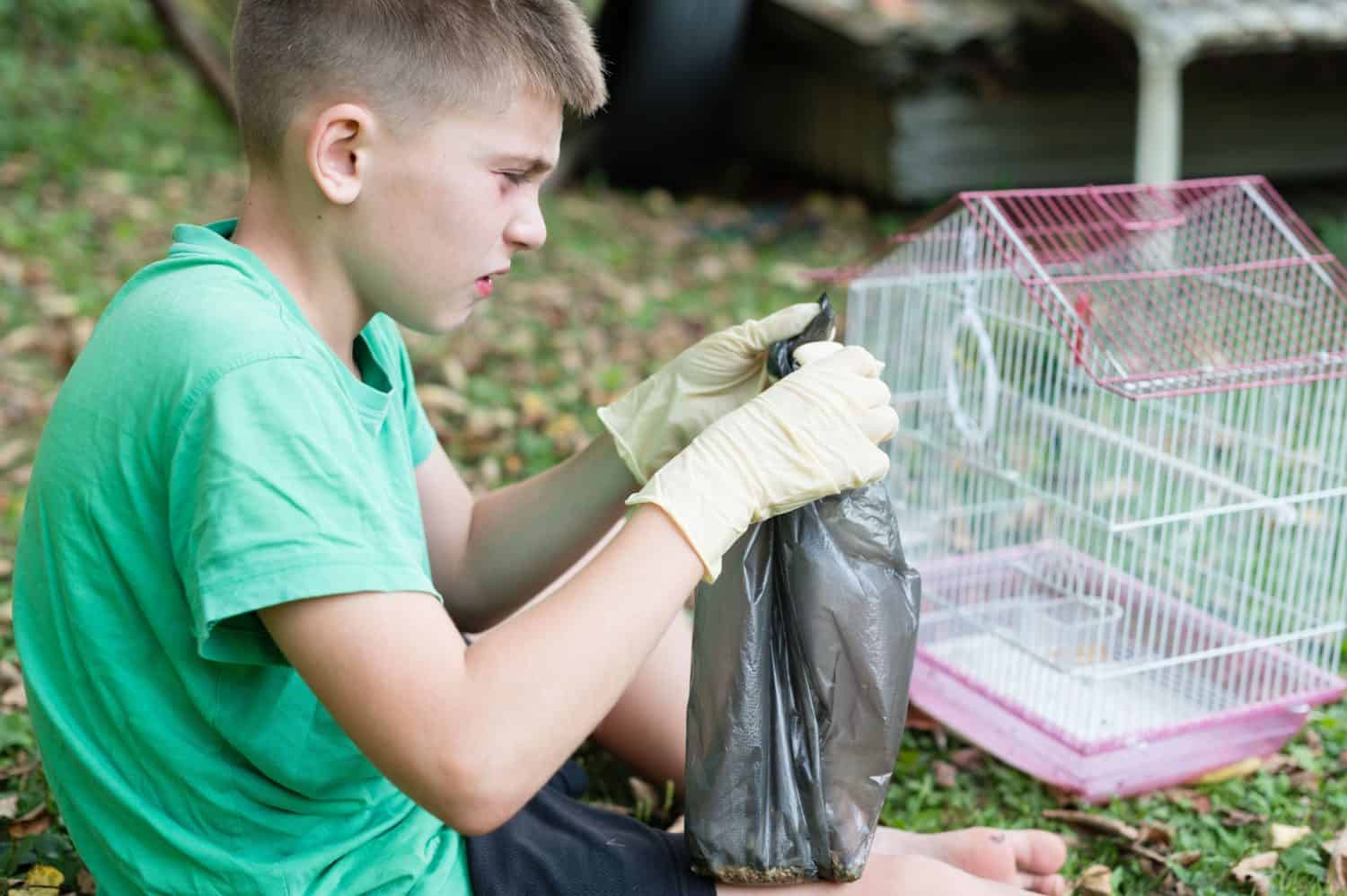 A young person carefully cleans a birdcage outside, wearing gloves to handle waste. The scene emphasizes responsible pet care and hygiene.