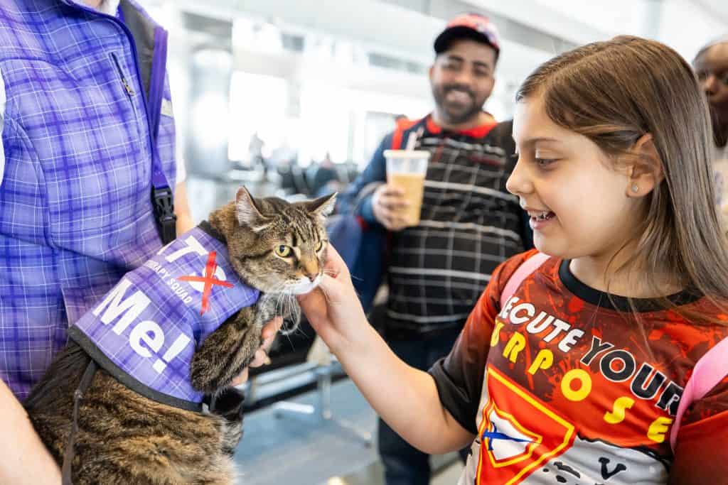 Pet airport therapy at Denver International Airport