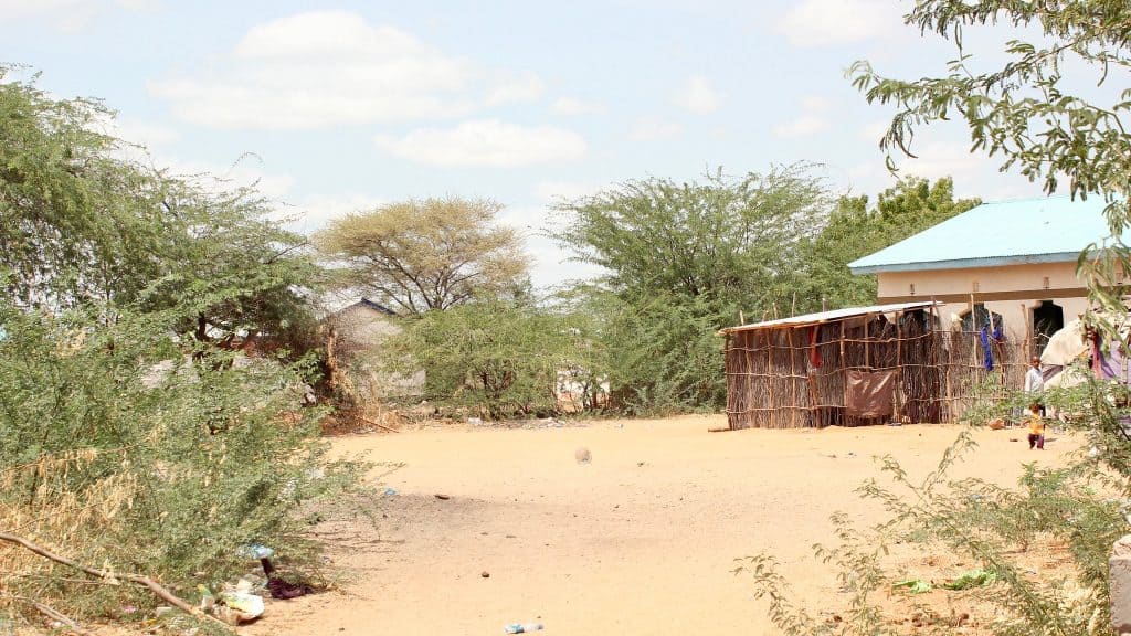 dry, dusty area with a thatch structure attached to a stucco building surrounded by bushes and two children outside