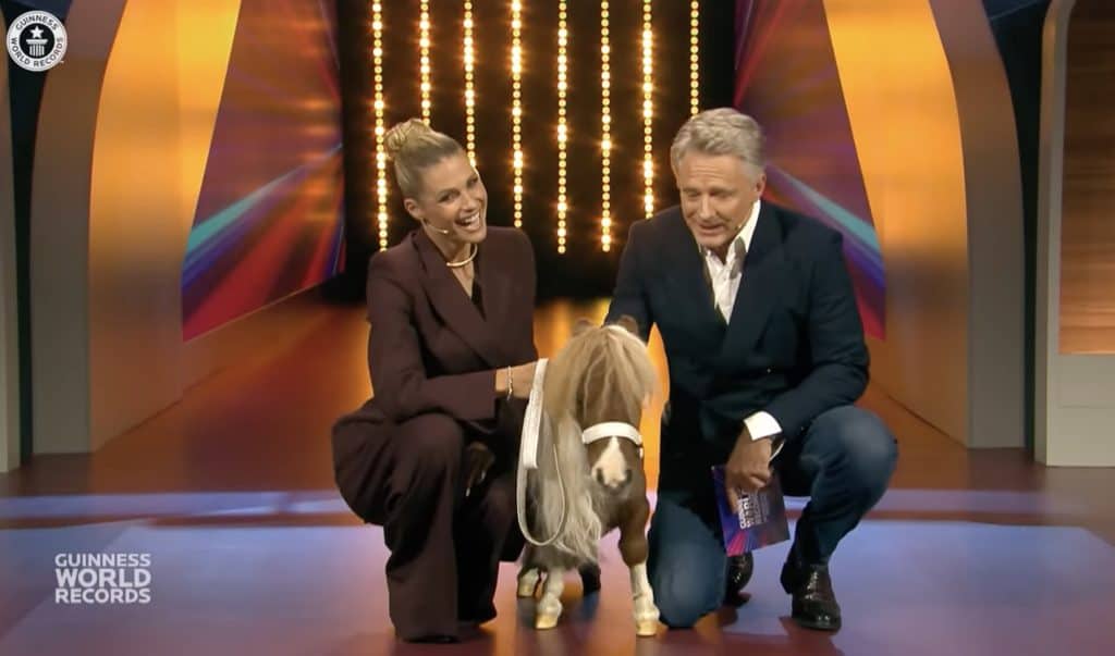 Pumuckel, the shortest living horse