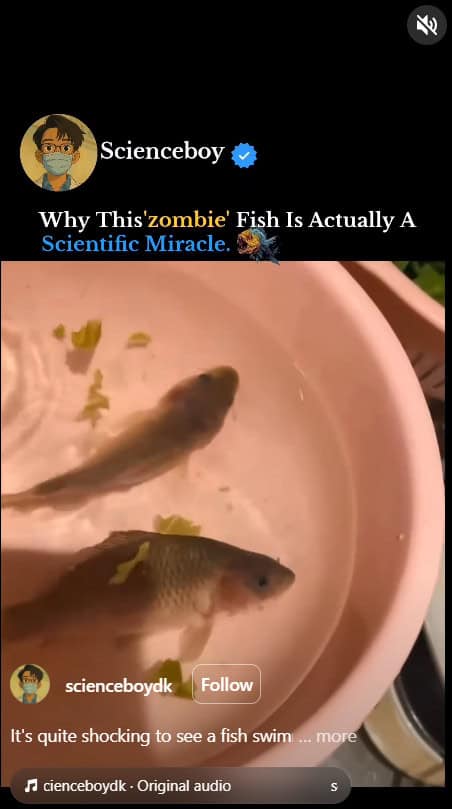 Instagram Post: Why This Zombie Fish Is Actually a Scientific Miracle by Scienceboy