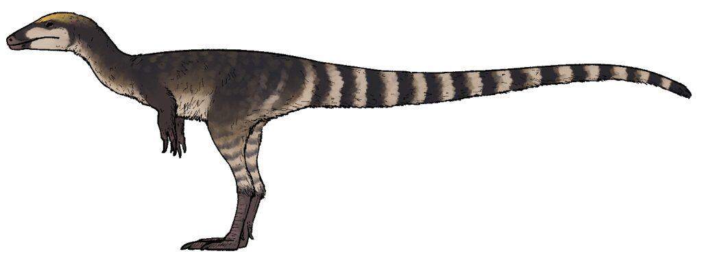 Life reconstruction of Sinosauropteryx lingyuanensis