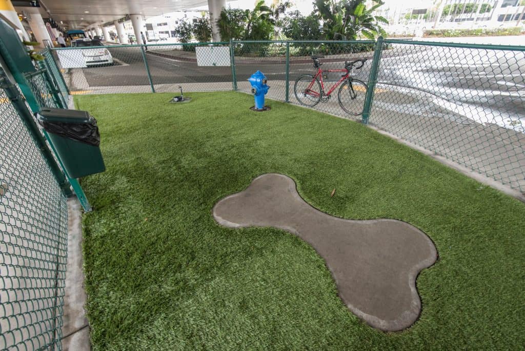 Pet relief area at LAX