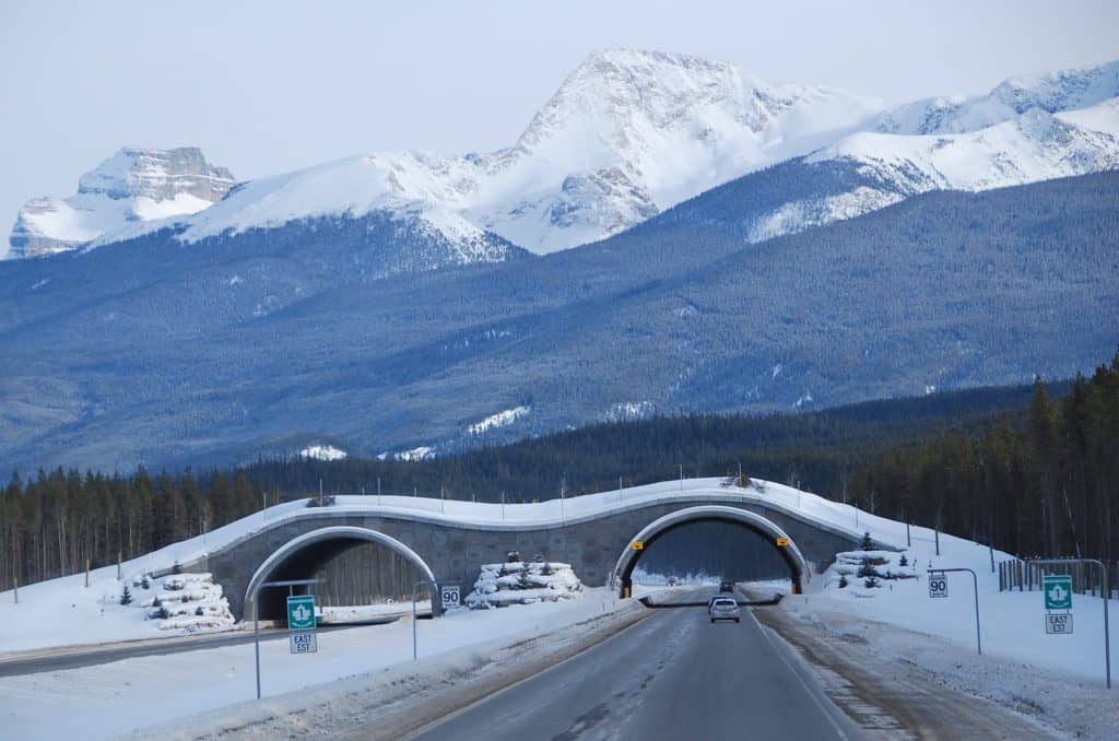 roadway with bridge over and snowy mountains in the background