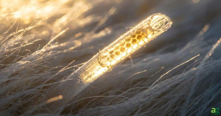 A microscopic view of a single hollow animal hair glowing with golden light, showing a distinct hexagonal internal structure similar to a honeycomb.