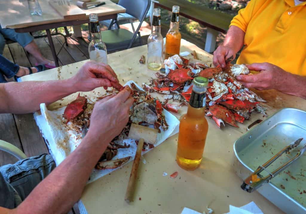 Backyard crab feast eating steamed blue crab from Baltimore, Maryland in the summer