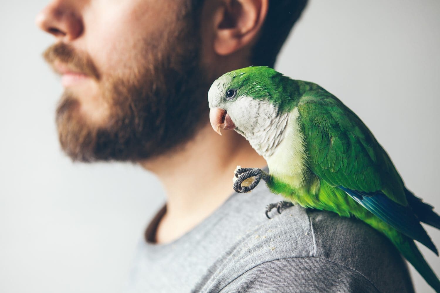 Mississippi Exotic Pet Laws: The Animals You're Allowed to Keep