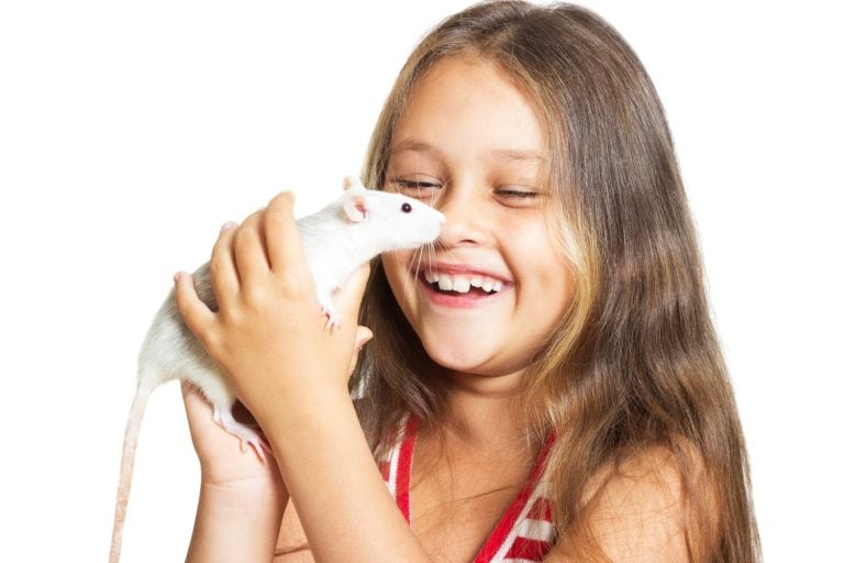laughing little girl holding a pet rat