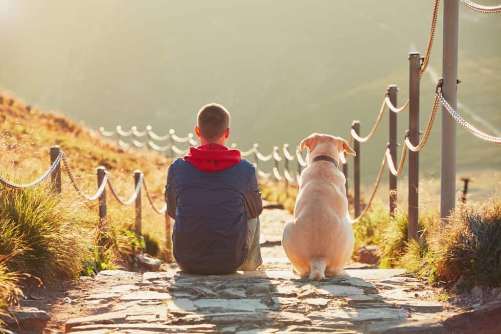 Man with dog on the trip in the mountains. Young tourist and his dog are resting and together watching the sunset. - back lit