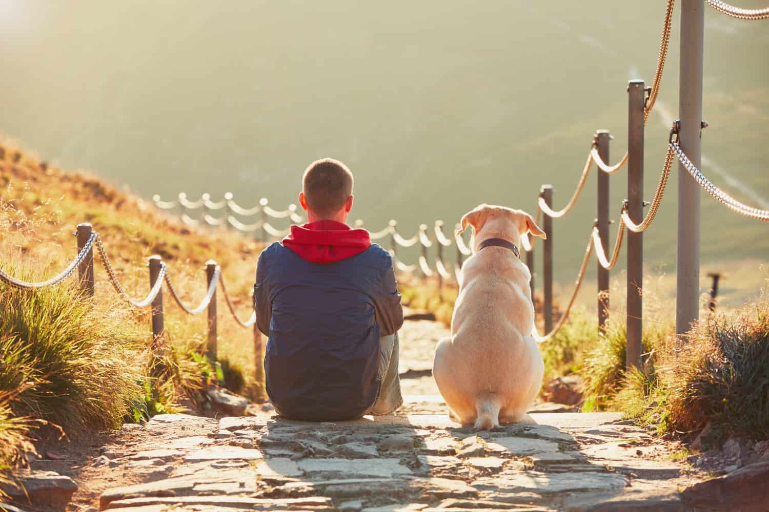 Man with dog on the trip in the mountains. Young tourist and his dog are resting and together watching the sunset. - back lit