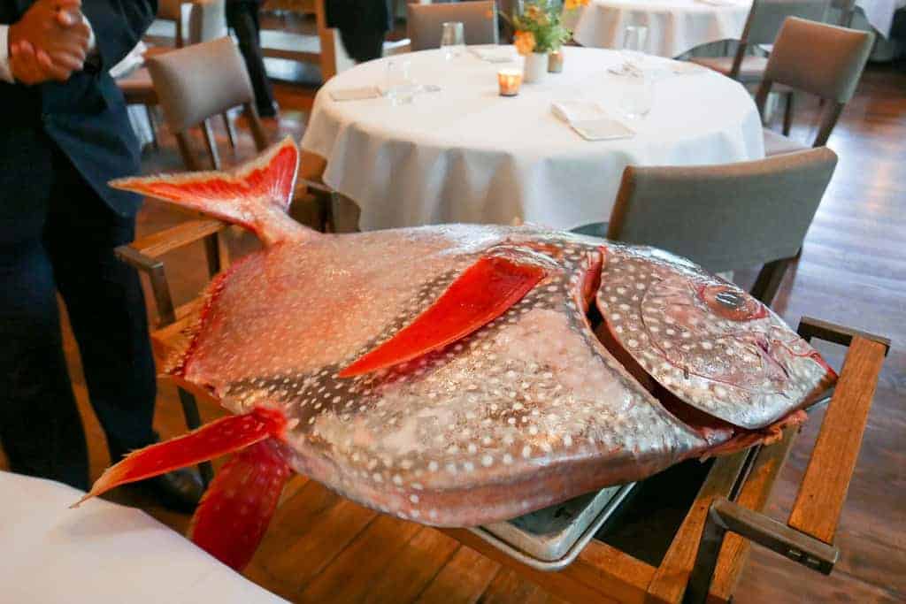 Moonfish (Opah)