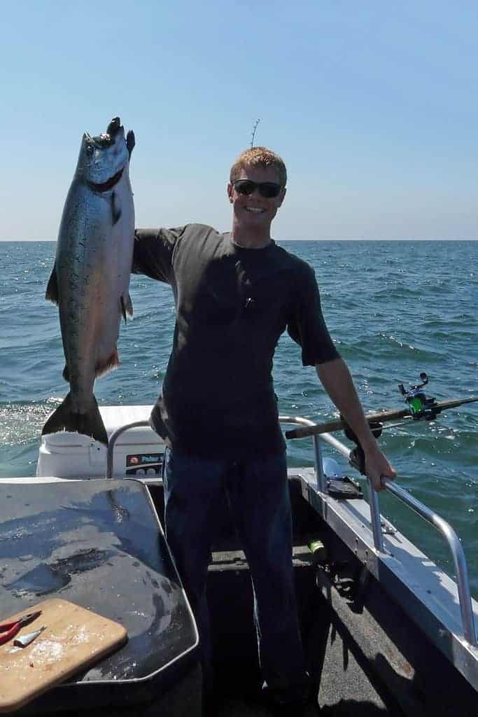 Chinook Salmon