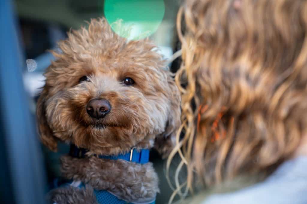 Jet Blue after being rescued from the airport.