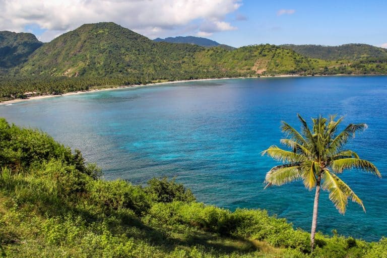 Wonderful view in Lombok Strait, Indonesia with an isolated coconut tree