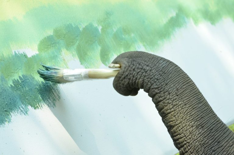 elephant drawing painting