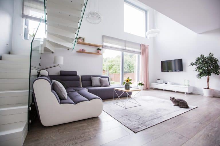 Cat in a modern living room interior with a corner sofa, stairs, TV and balcony window. Real photo
