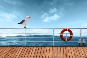 A seagull sits on the railing of the cruise ship