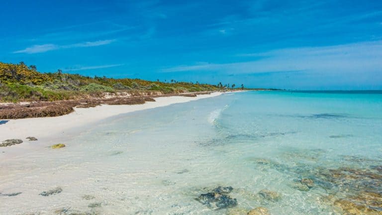 Picture of Sandspur Beach on Florida Keys in spring during daytime