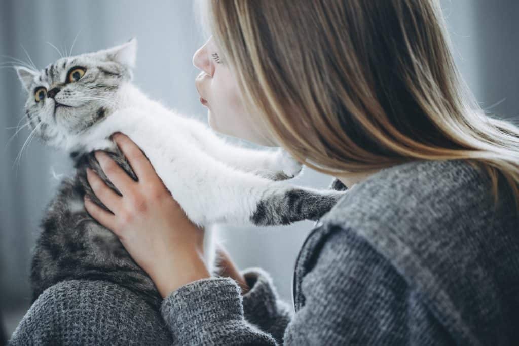 Young beautiful woman with cat. High quality photo