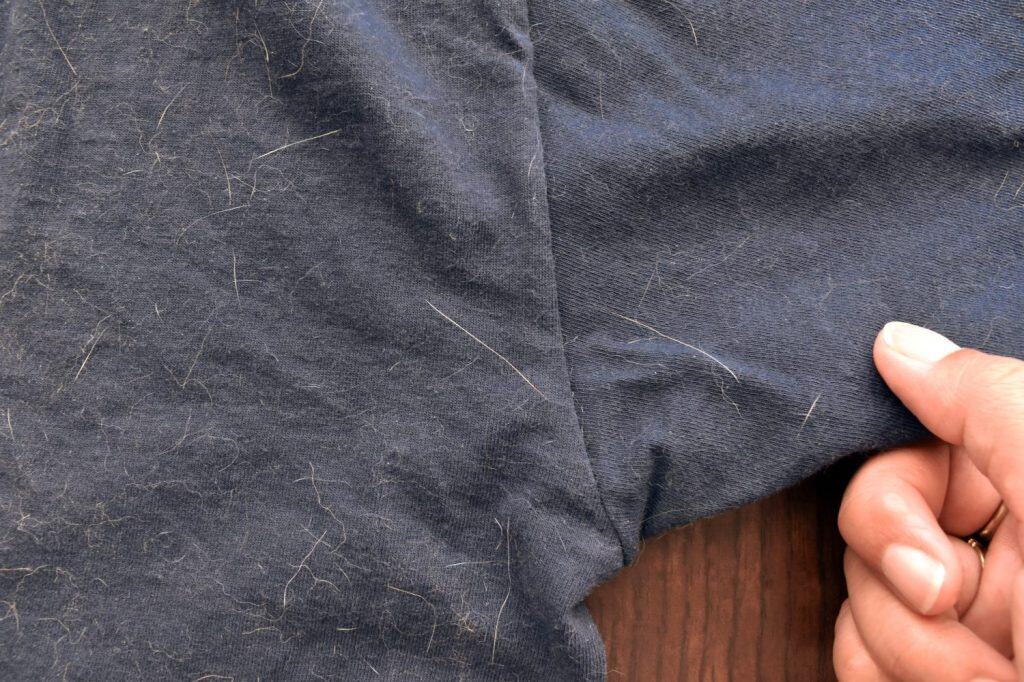 Cat or dog hair on T-shirt. Concept of how to remove pet hair on clothes or fabric.