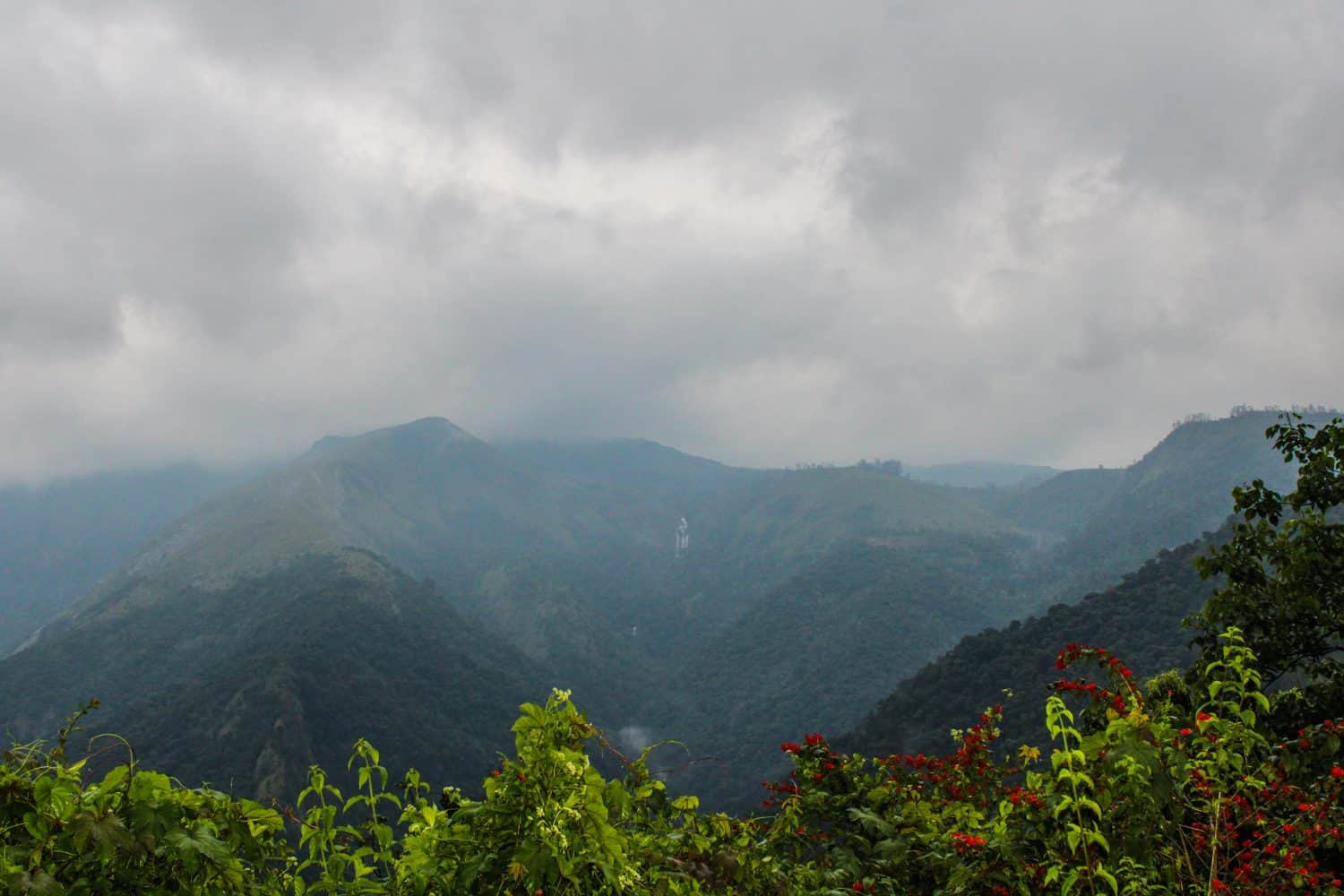 Kuttikkanam is a Hill Station in Idukki District, Kerala State, India. It is 3,500 Feet Above Sea level Road Side View