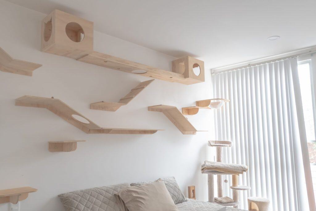 Design of a room adapted and decorated with wooden shelves for cat use. Ideas, design, home interior