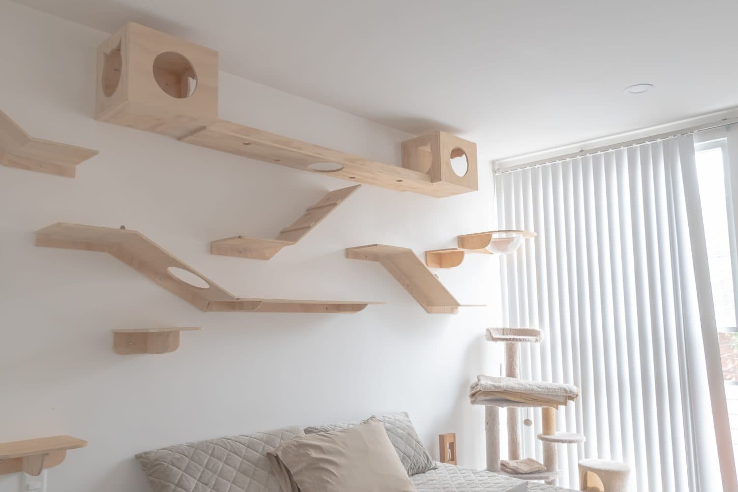 Design of a room adapted and decorated with wooden shelves for cat use. Ideas, design, home interior