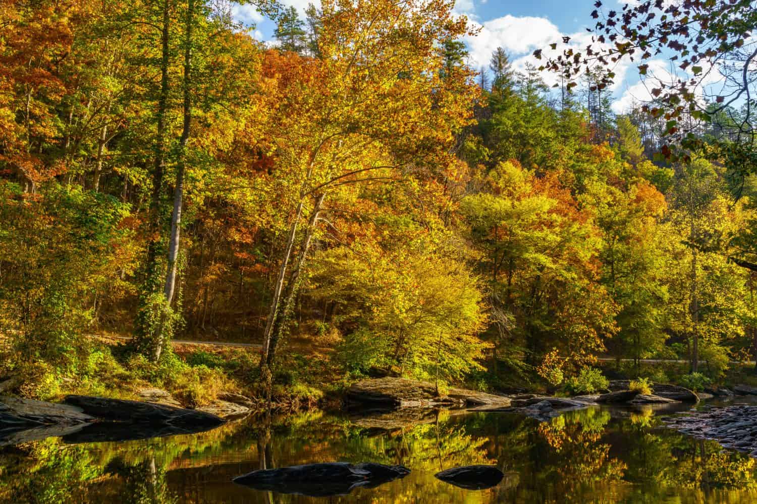 Tellico RiverTellico Plains, Cherokee National ForestAppalachian Mountains, Tennessee 