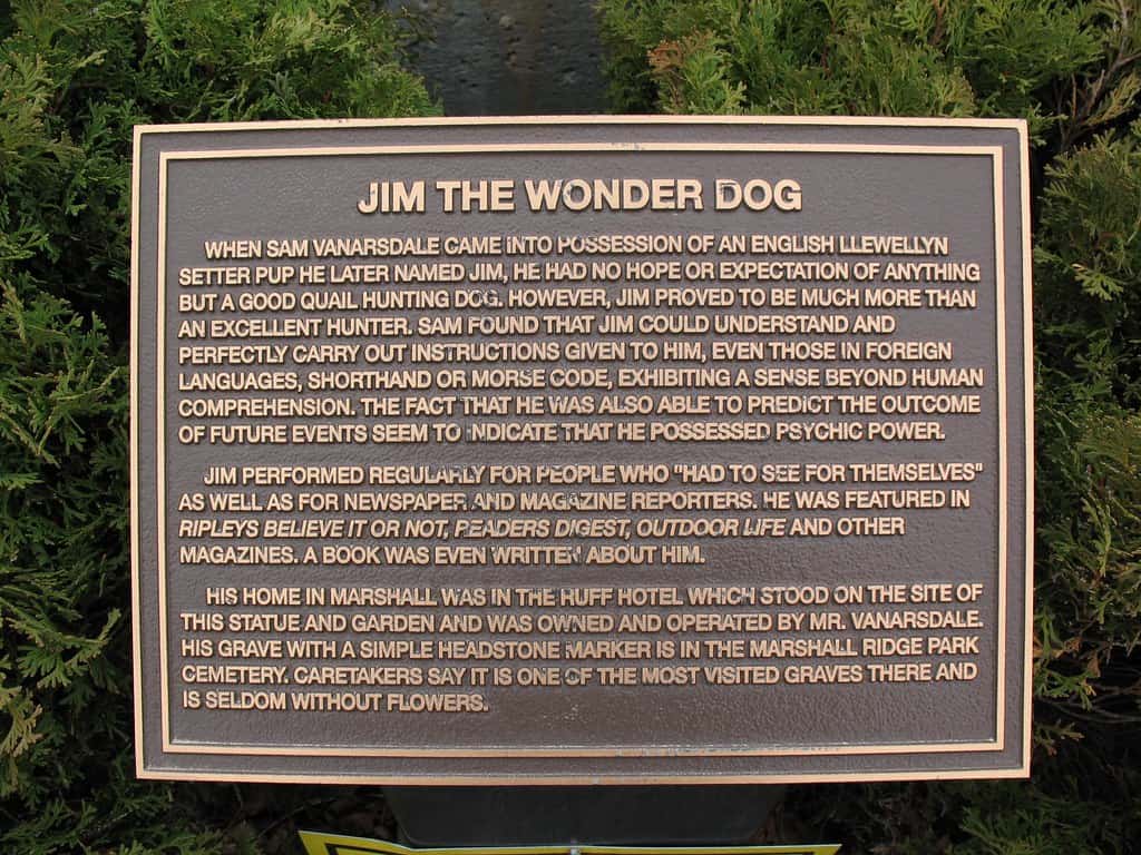Jim's Plaque
