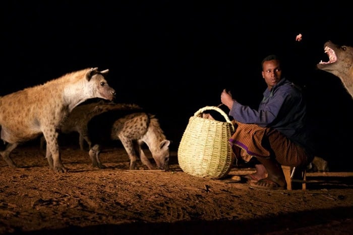 Ethiopian-harar-hyena-man