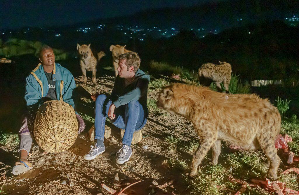 Feeding hyenas in Harar, tourist attraction