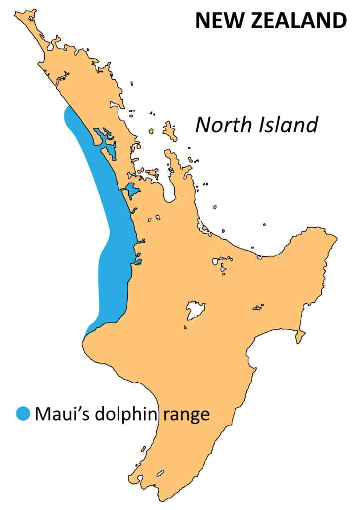 Range of Maui dolphin.