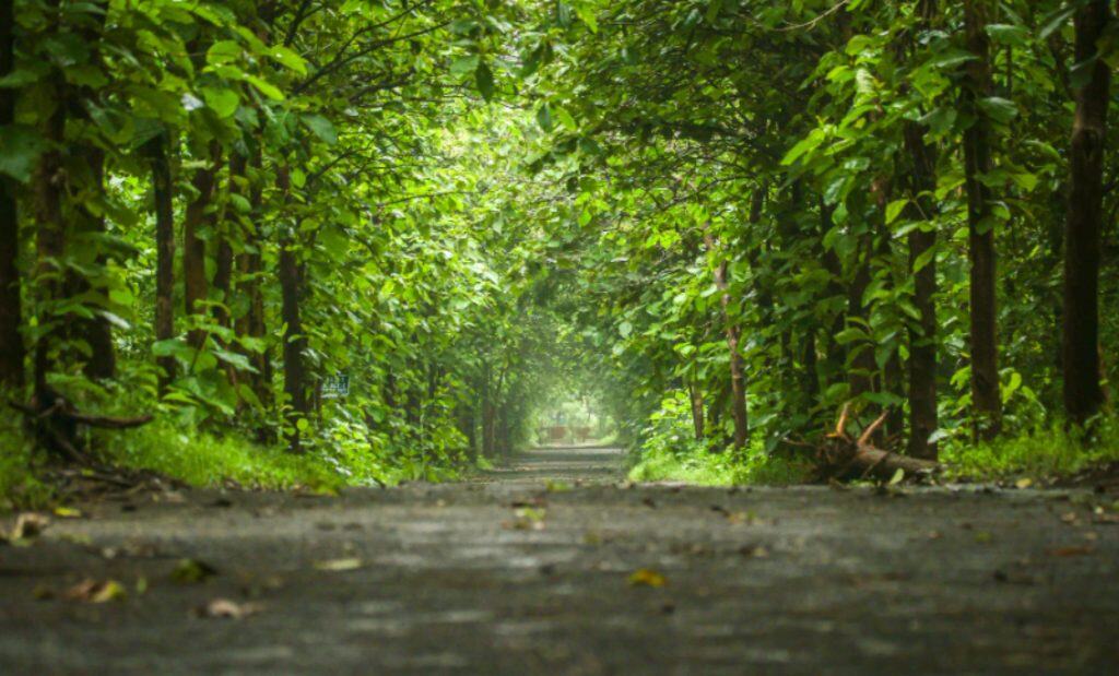 Vantara animal sanctuary in India