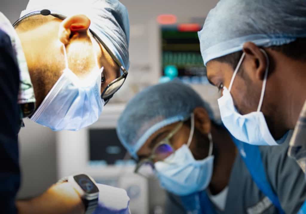 Veterinarians working to help an animal at Vantara.