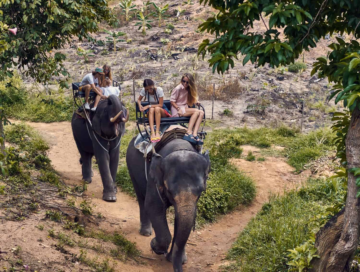 Young caucasian tourists ride on elephants in the jungle