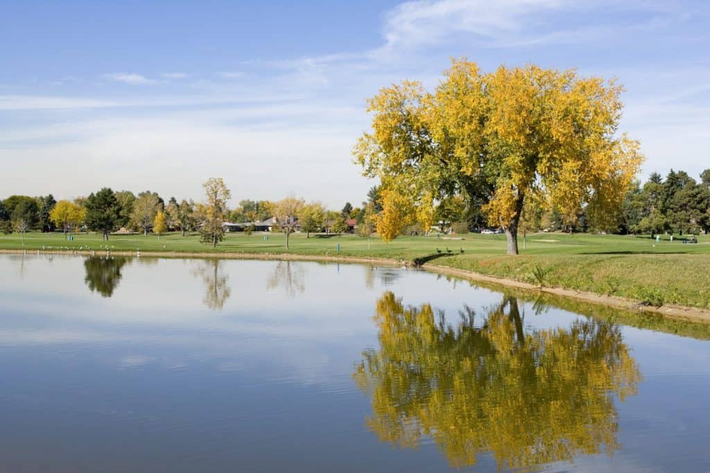 City Park golf course in Denver