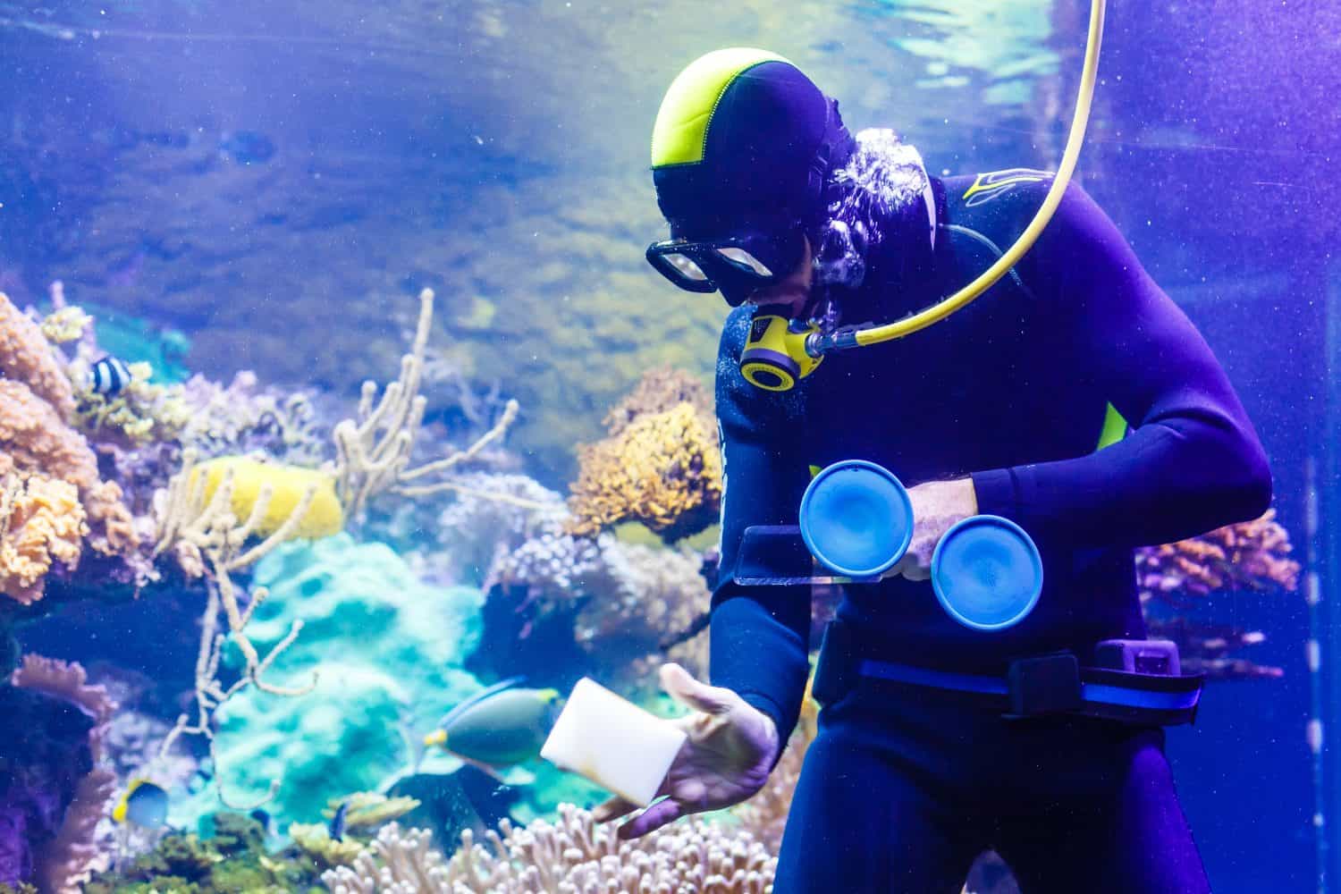 Cleaning a huge aquarium, aquarium cleaner