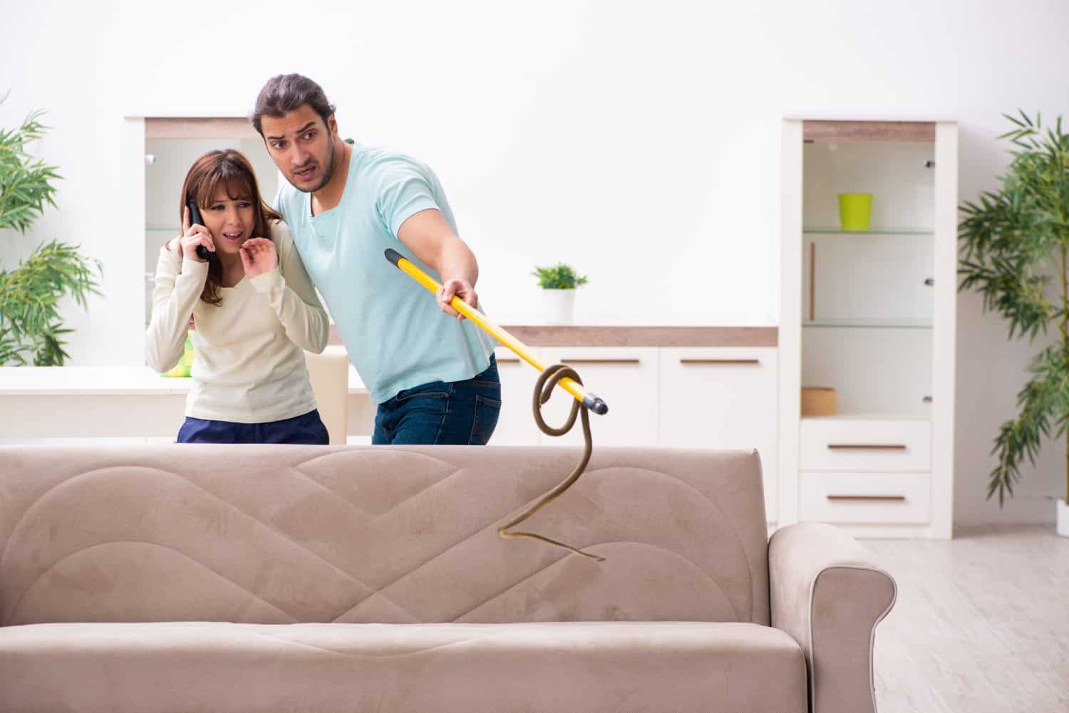 Young couple and snake in the flat