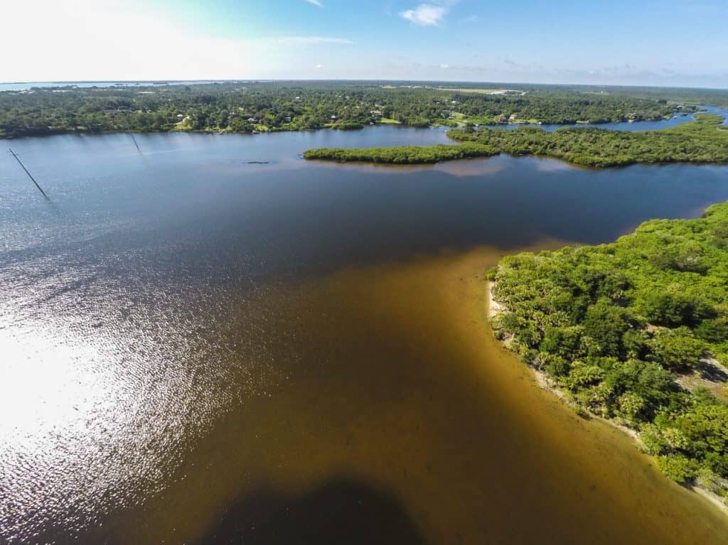 Indian River Lagoon Jungle Trail tropical paradise boating sky clouds water swamp wetlands trees nature outdoor Vero Beach, Florida