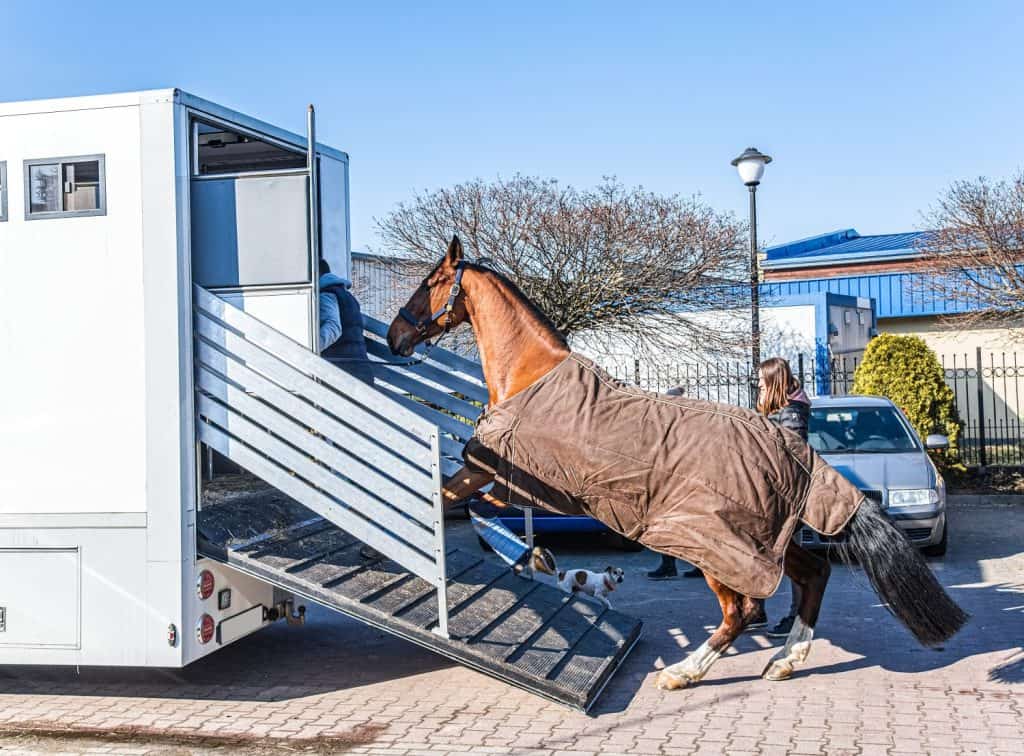 Auto trailer for transportation of horses .