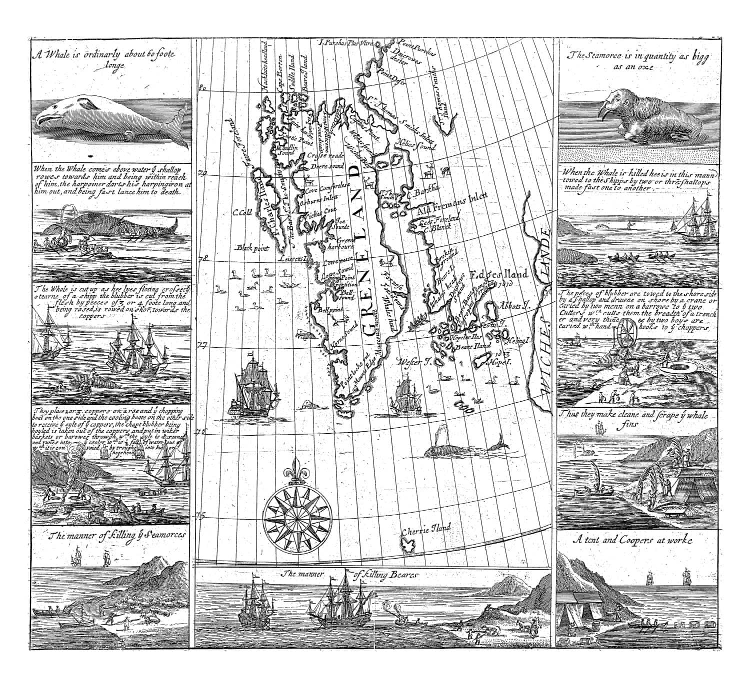 Map of the west coast of Spitsbergen with the coastline indicated where already known. Many English toponyms are indicated along the coastline.