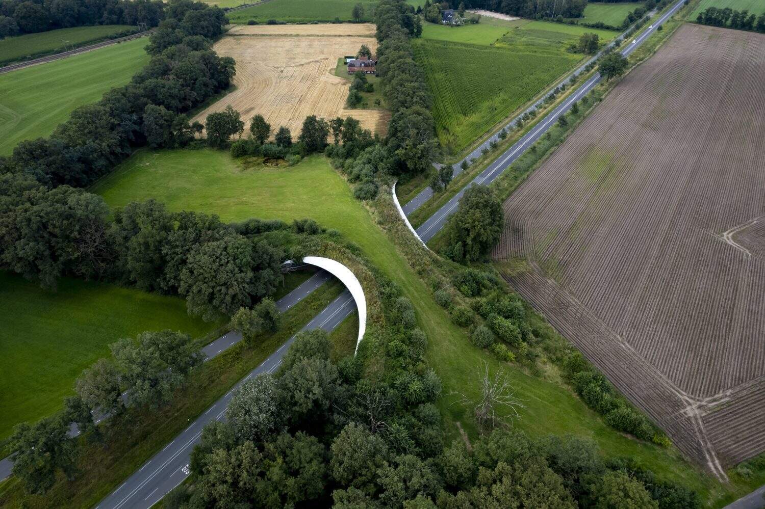 Motorway passing underneath wildlife crossing forming a safe natural corridor bridge for animals to migrate between conservancy areas 