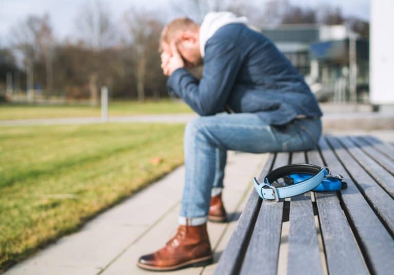 Broken with grief man dog owner is grieving sitting on a bench with the lovely pet collar and deep weeping about animal loss. Home pets relatives and love concept.